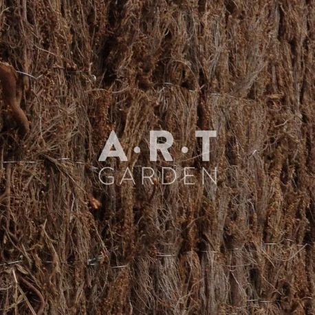 Brande De Bruyere Semi-occultante - 120 à 180 Cm - épaisseur 4 Cm 6 Brande De Bruyere Semi-occultante - 120 à 180 Cm - épaisseur 4 Cm – Image 4