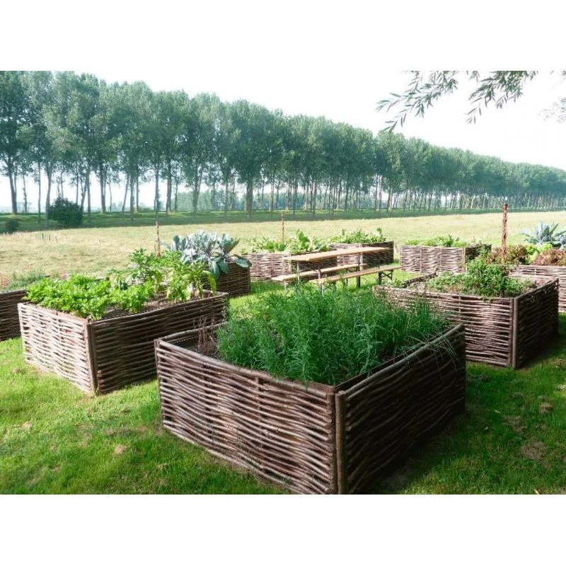 Potager Carré En Noisetier Tressage Horizontal - 4 Tailles Disponibles 7 Potager Carré En Noisetier Tressage Horizontal - 4 Tailles Disponibles – Image 6